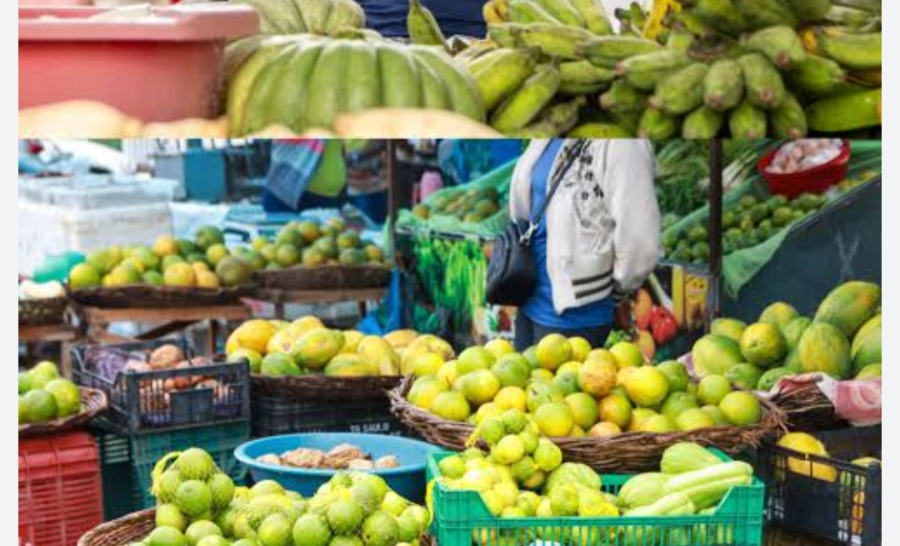 Cesta Verde amplia segurança alimentar e fortalece a agricultura familiar no Distrito Federal