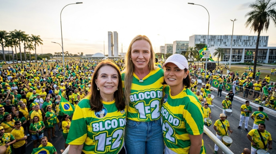 Celina Leão vence segundo turno com ampla vantagem e é eleita governadora do Distrito Federal