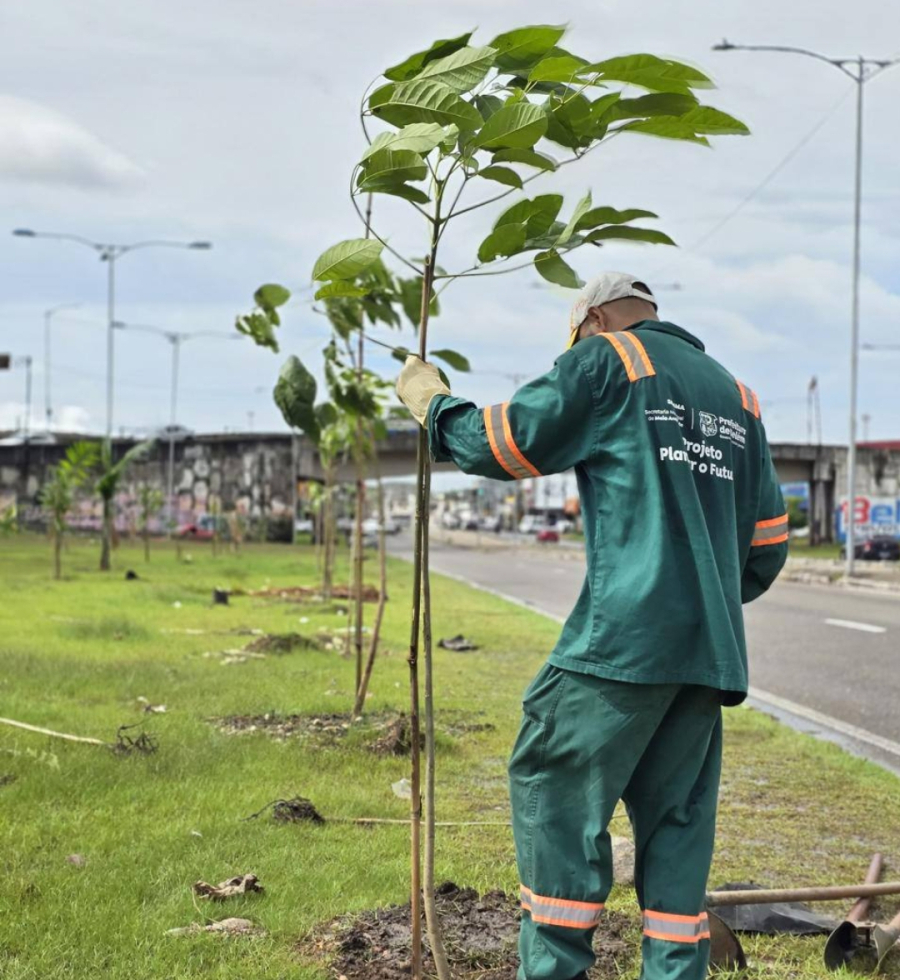 GDF amplia prazo para projetos ambientais e fortalece pesquisas no DF